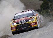 Petter Solberg